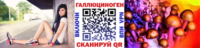 купить наркотики сайты  Томмот  Псилоцибиновые грибы мицелий 