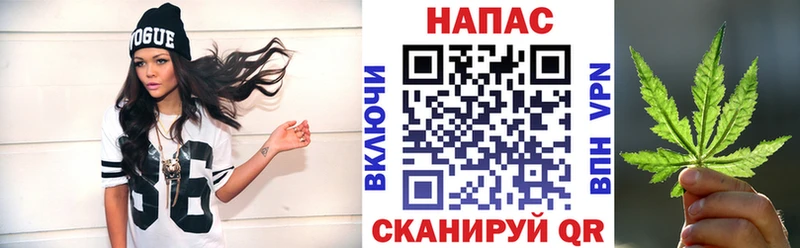 Конопля сатива  Томмот 